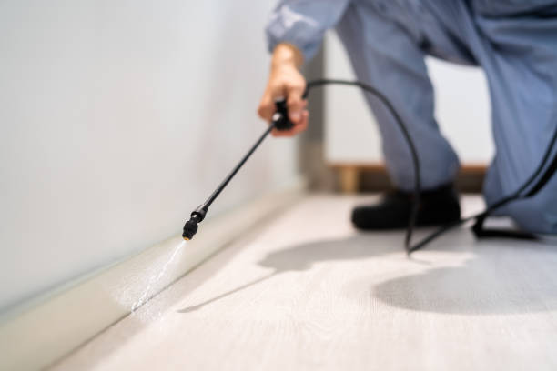 Bed Bug Pre-Treatment Preparation Assessment in Shoal Creek