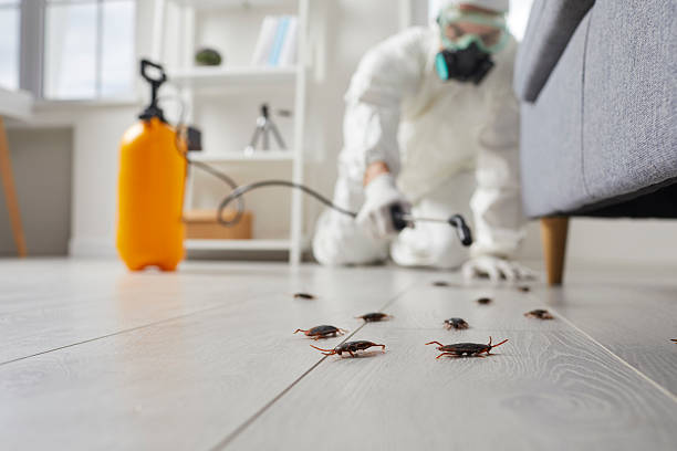 Post-Treatment Bed Bug Interceptor Monitoring in Shoal Creek