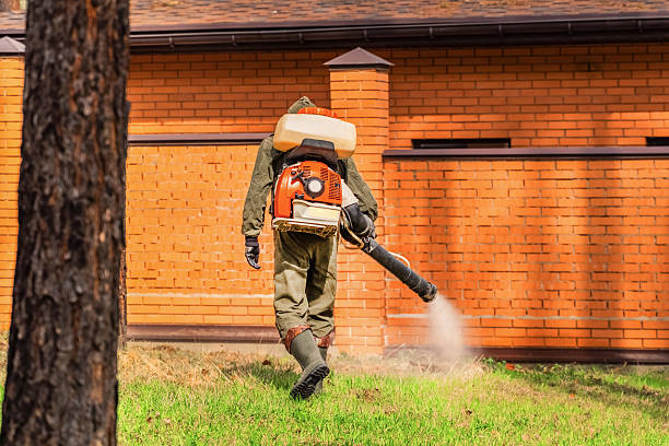 Bed Bug Clearance Verification and Documentation in Shoal Creek